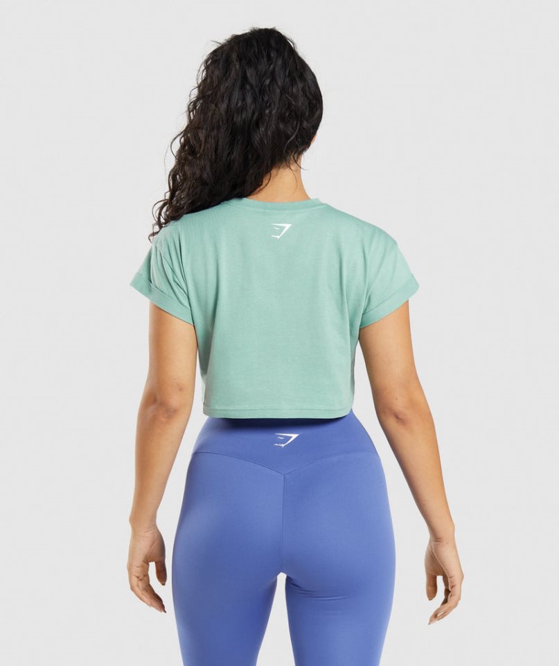 Women's Gymshark Fraction Cropped Tops Light Green | NZ 2DAEBX